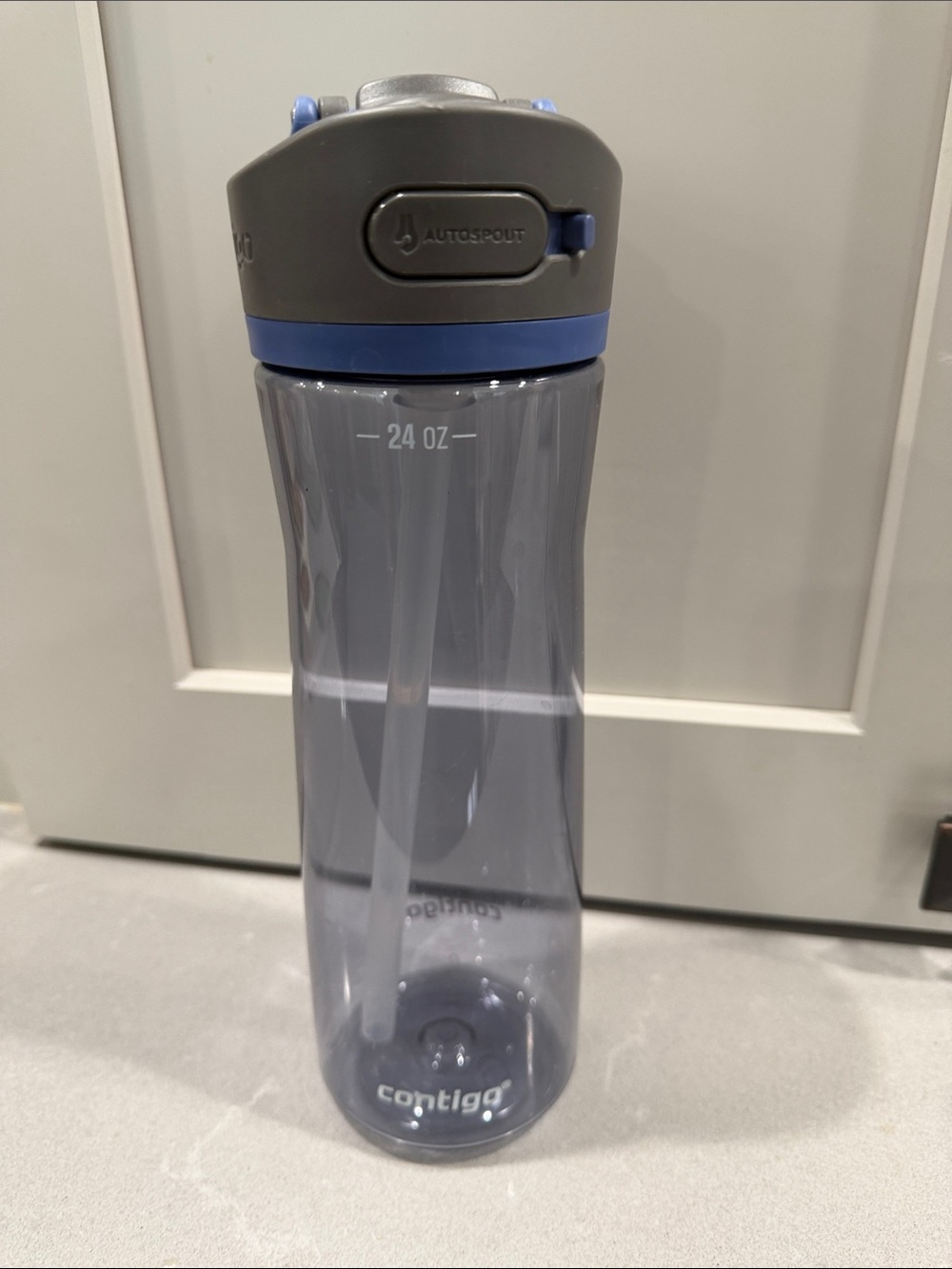Contigo 24oz Autoseal Water Bottle in Gray and Blue